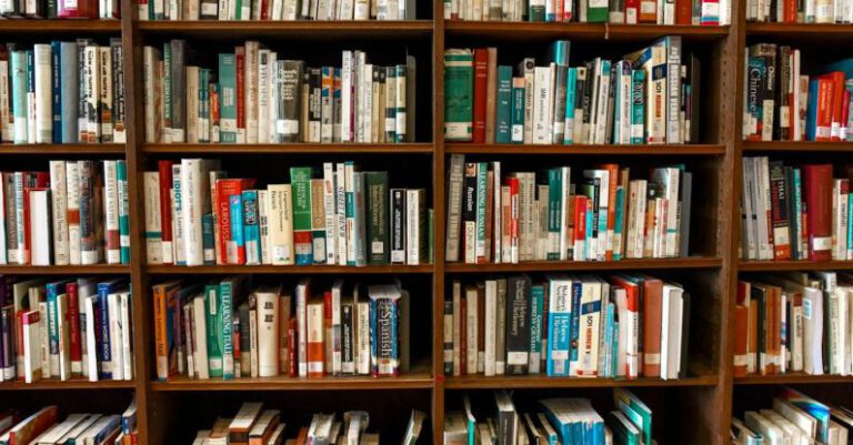 Can You Style a Bookshelf Like a Pro on a Budget?