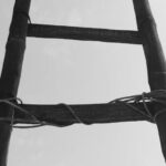 Ladder - Black Bamboo Ladder during Daytime