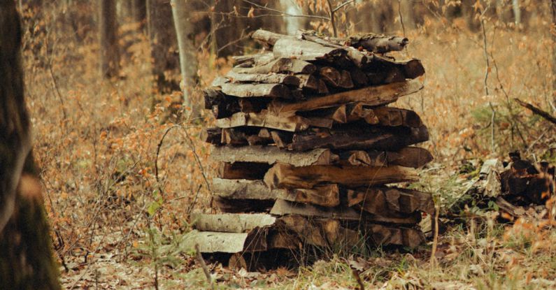 Reclaimed Timber - A stack of wood in the woods