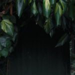 Hidden Storage - Entrance to Cellar Hidden in Bushes