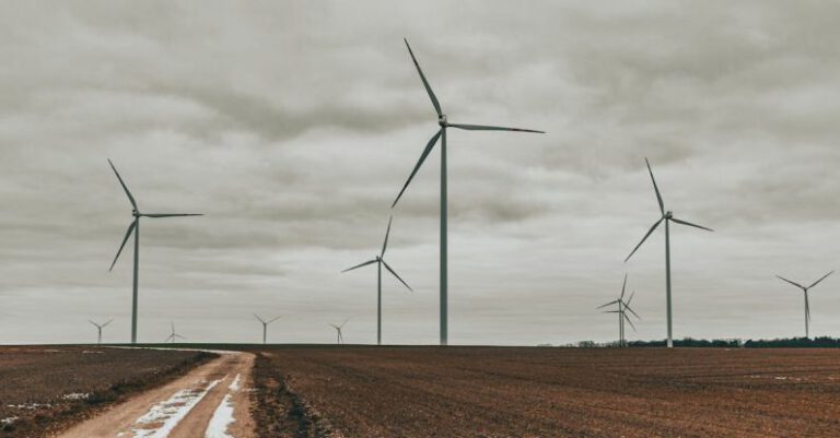 Energy-Efficient - Field full of wind turbines